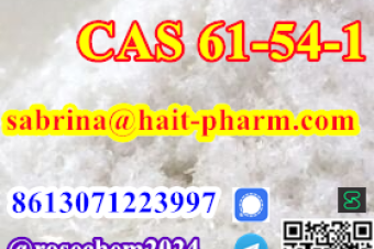 8615355326496 Big Sale Tryptamine CAS 61541